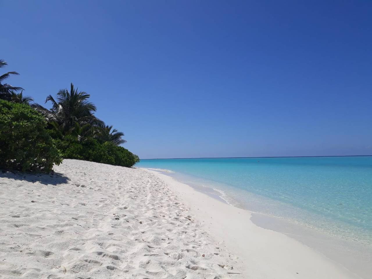 Thoddoo Beach Holiday Exteriér fotografie