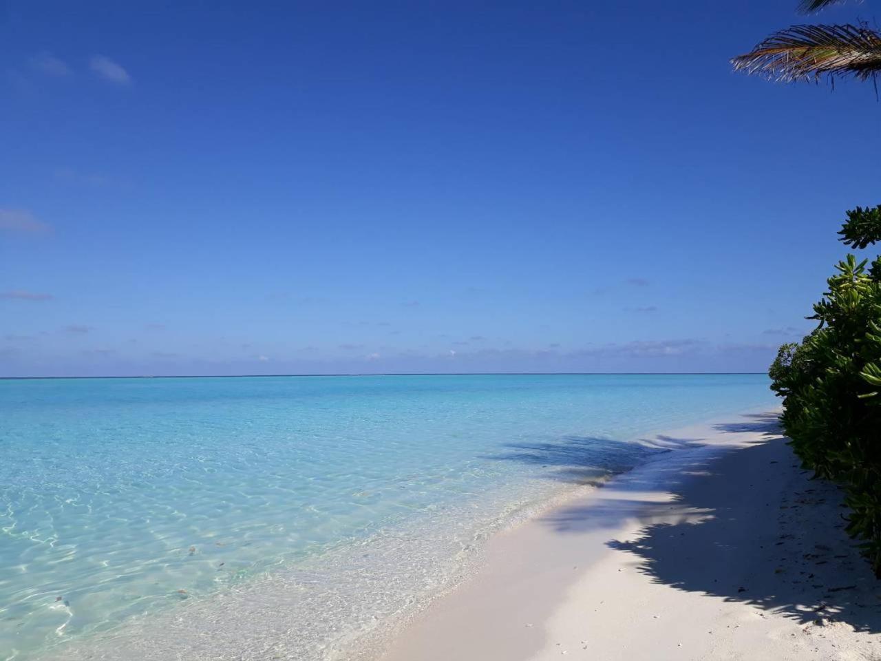 Thoddoo Beach Holiday Exteriér fotografie